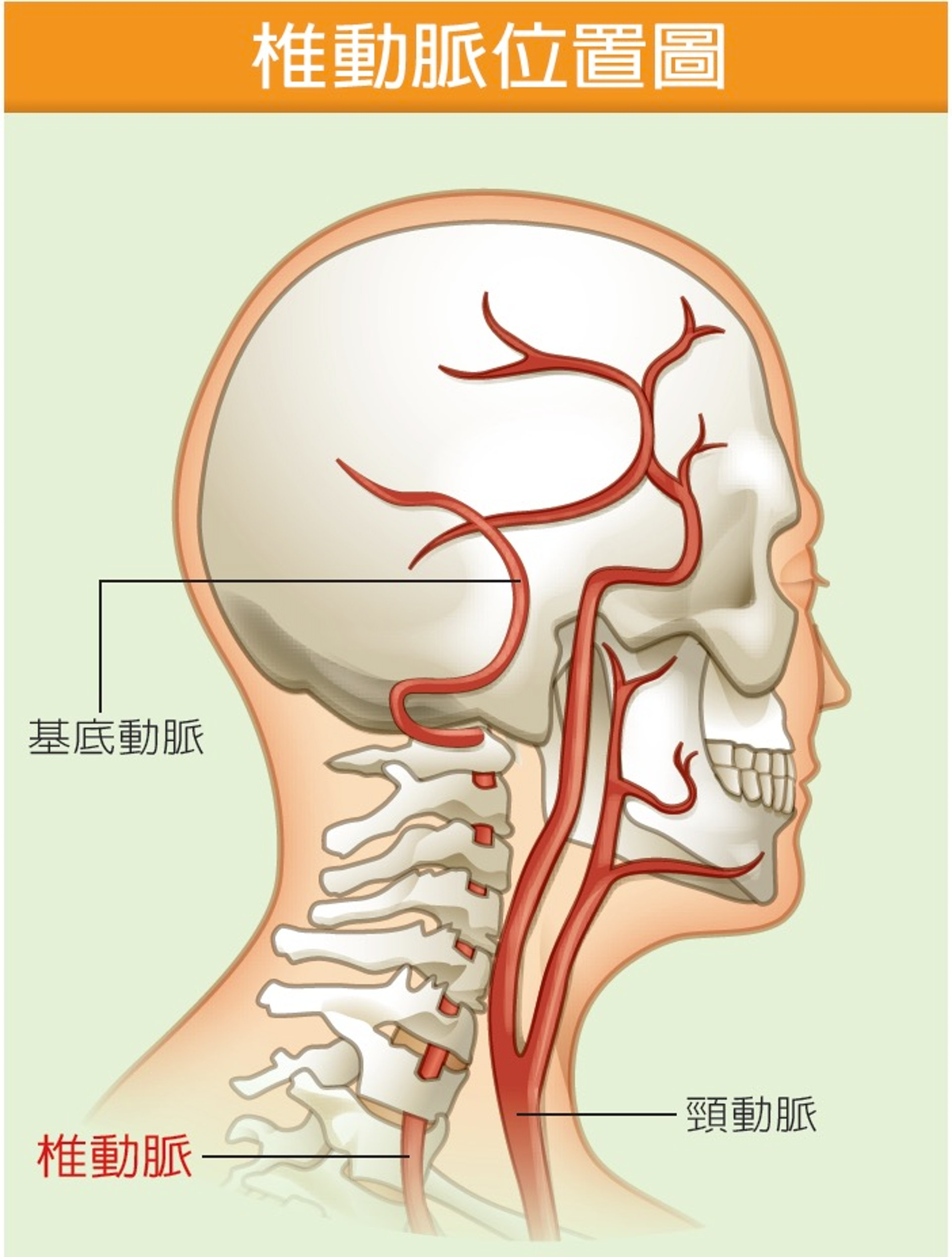 按摩培训,小儿推拿培训,玉医职校